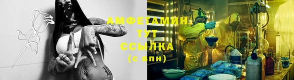 кокс Алексин