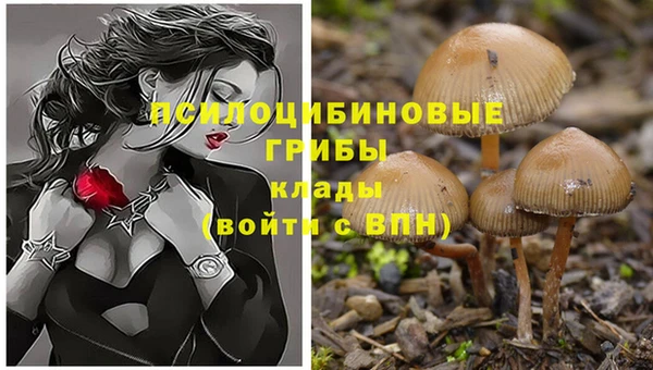 трава Абинск