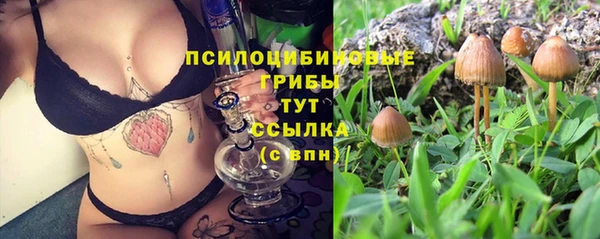 трава Абинск