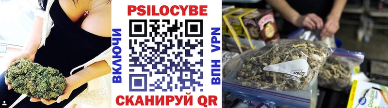 Псилоцибиновые грибы Psilocybe Пучеж